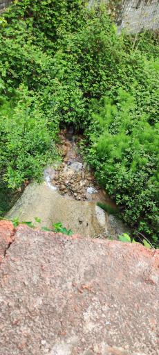 عکس قائمشهر