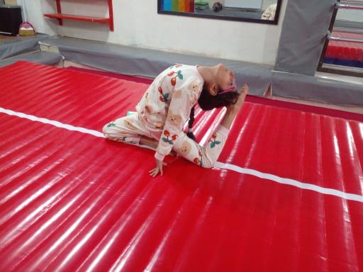 عکس باشگاه سرای ژیمناستیک 