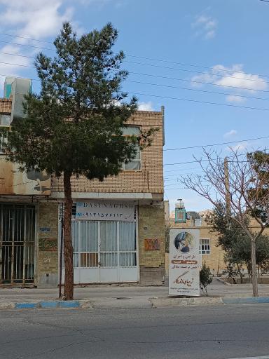 عکس دست نقش