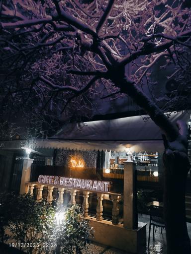 عکس کافه رستوران ویولت