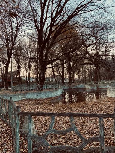 عکس قائمشهر