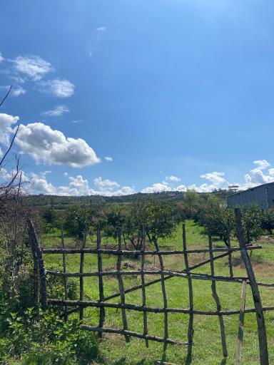 عکس قائمشهر