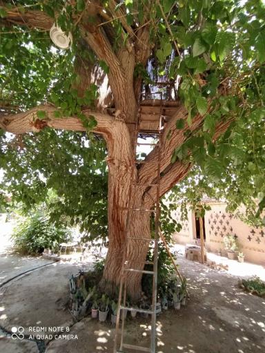 عکس بوم گردی عمارت تاریخی قلعه ی خواجه