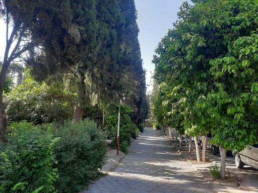 عکس مجتمع فرهنگی و ورزشی شهید آیت الله ربانی شیرازی