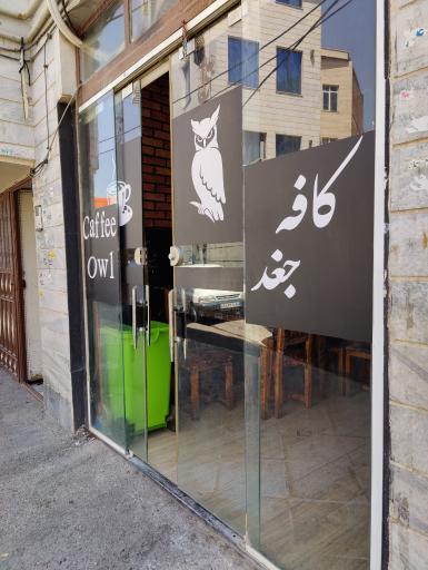 عکس کافه جغد