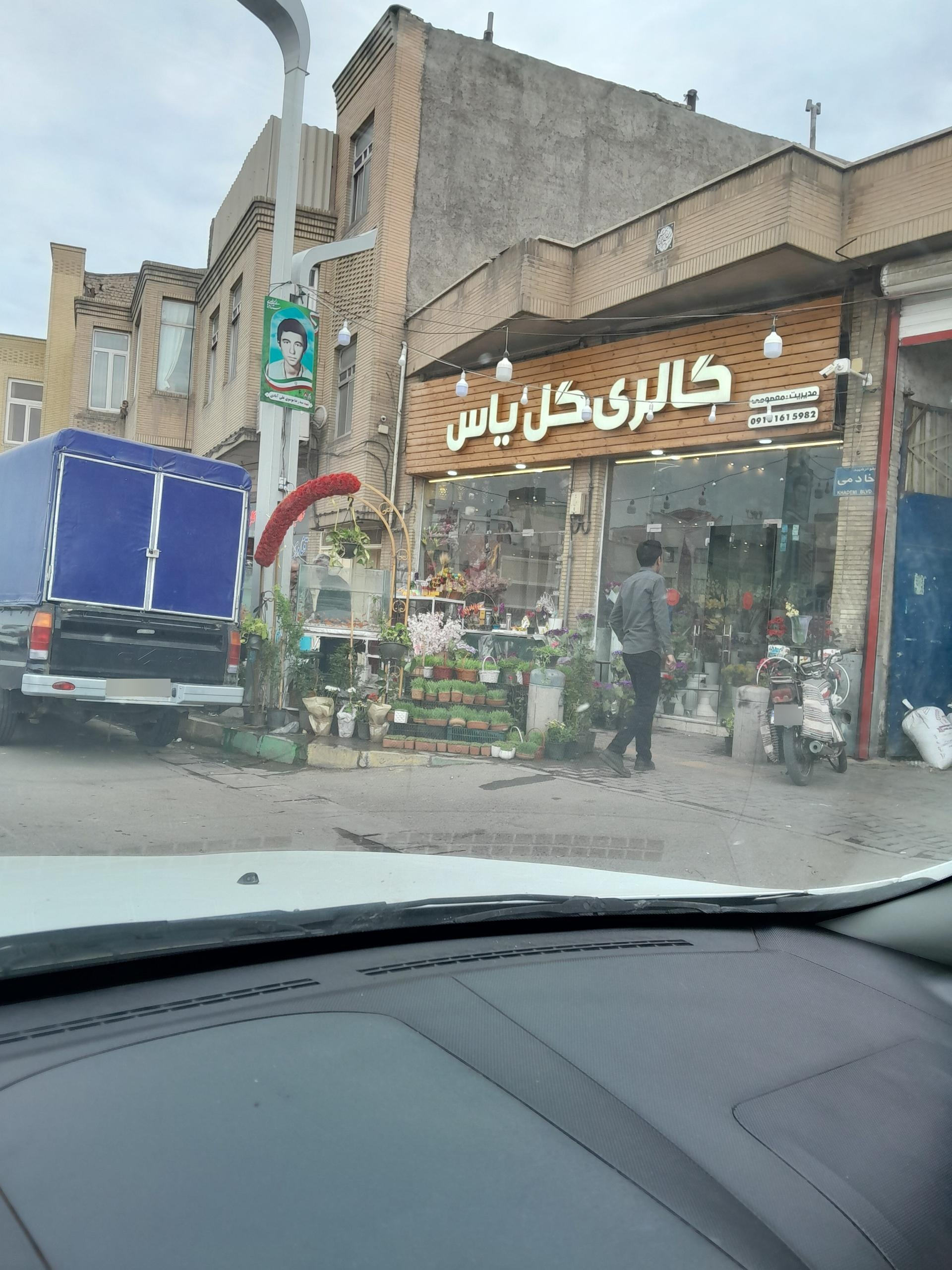 عکس گالری گل یاس
