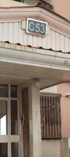 عکس C 53