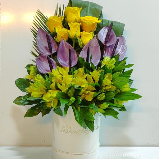 عکس گل لاله 2 