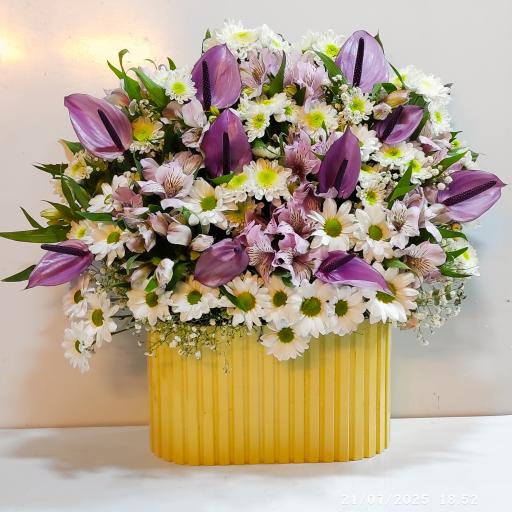 عکس گل لاله 2 