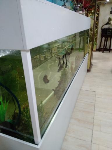 عکس کباب بره فرخ