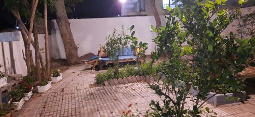 عکس کافه پاچنار (فرحزاد)