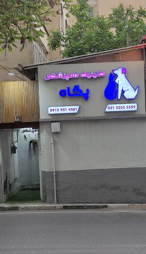 عکس کلینیک دامپزشکی پگاه 