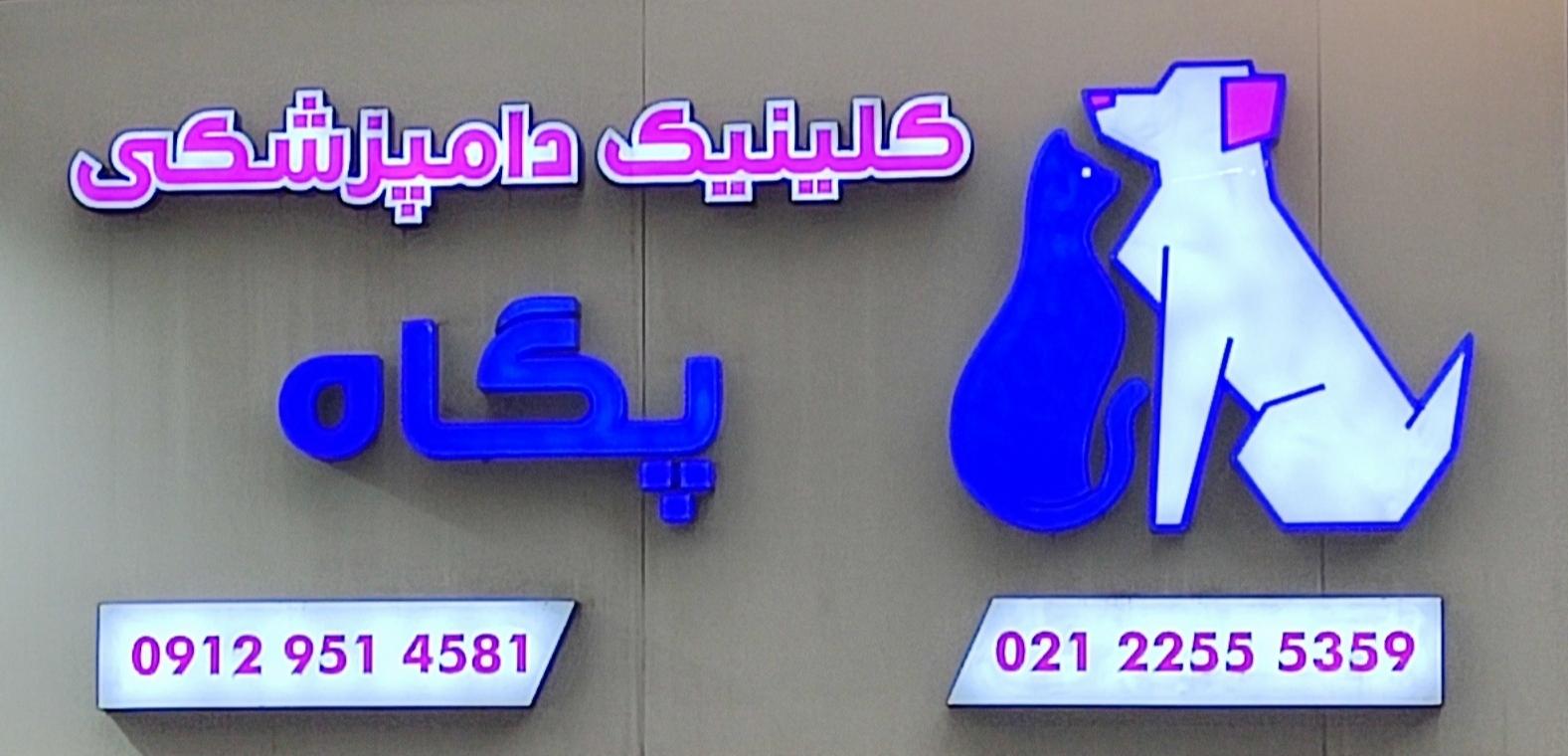 عکس کلینیک دامپزشکی پگاه 