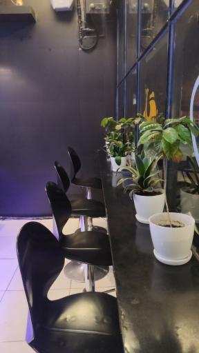 عکس کافه راموز