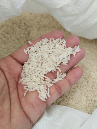 عکس برنج پورقربان