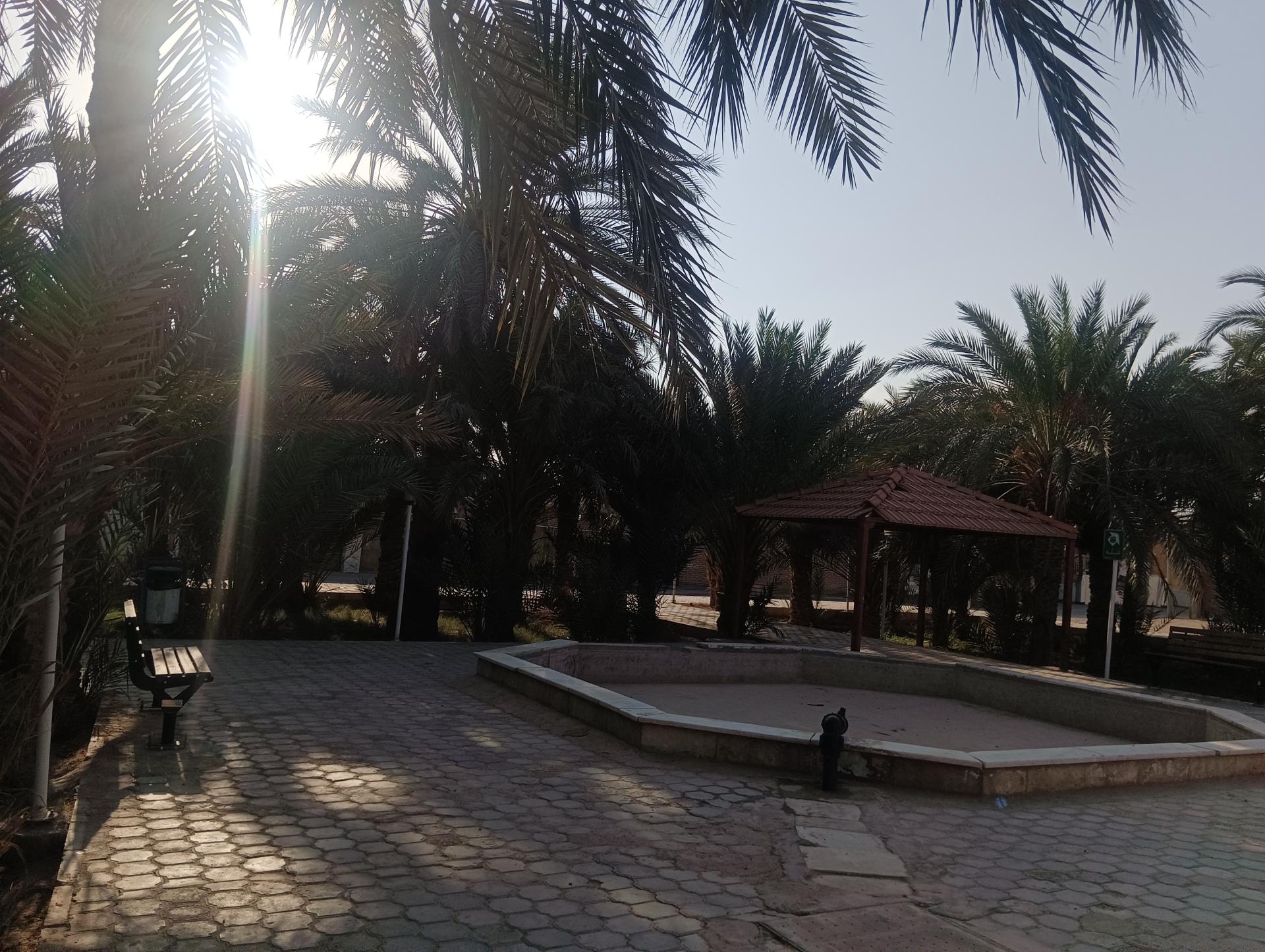 عکس پارک کودک