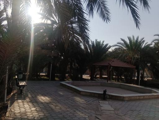 عکس پارک کودک