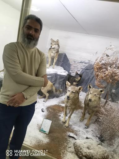 عکس موزه تاریخ طبیعی همدان