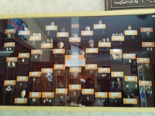 عکس موزه تاریخ طبیعی همدان