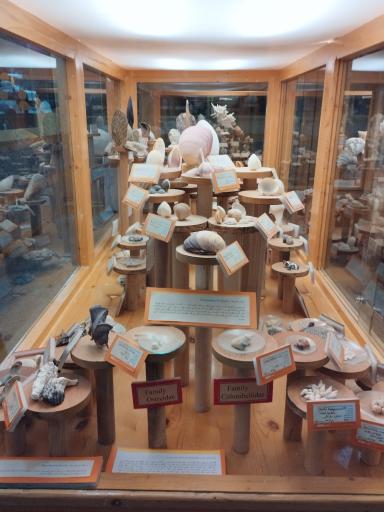 عکس موزه تاریخ طبیعی همدان