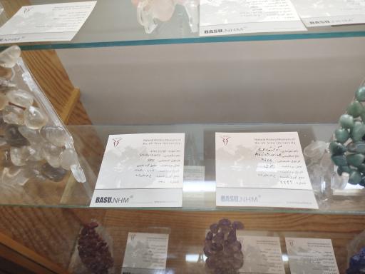 عکس موزه تاریخ طبیعی همدان