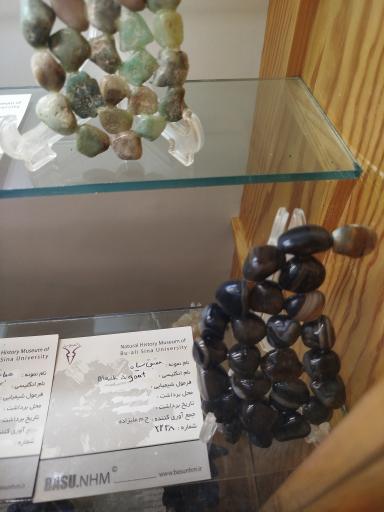 عکس موزه تاریخ طبیعی همدان