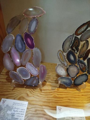 عکس موزه تاریخ طبیعی همدان