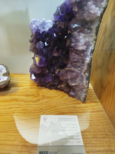 عکس موزه تاریخ طبیعی همدان