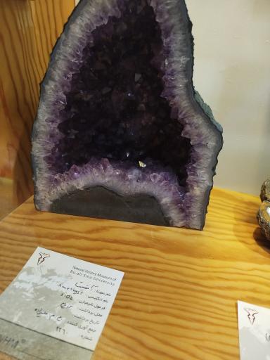 عکس موزه تاریخ طبیعی همدان