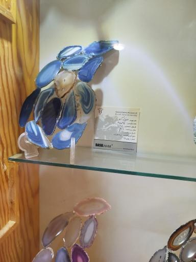 عکس موزه تاریخ طبیعی همدان