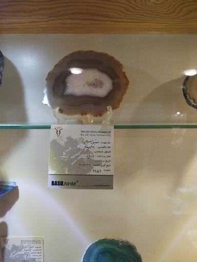 عکس موزه تاریخ طبیعی همدان