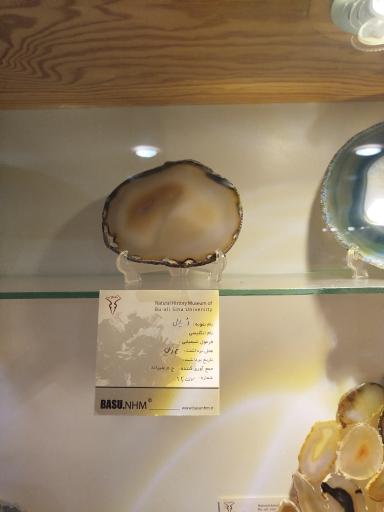 عکس موزه تاریخ طبیعی همدان