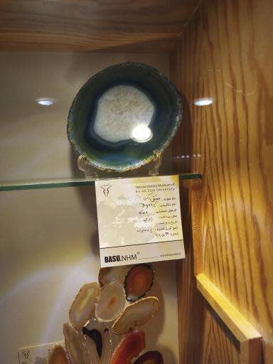 عکس موزه تاریخ طبیعی همدان