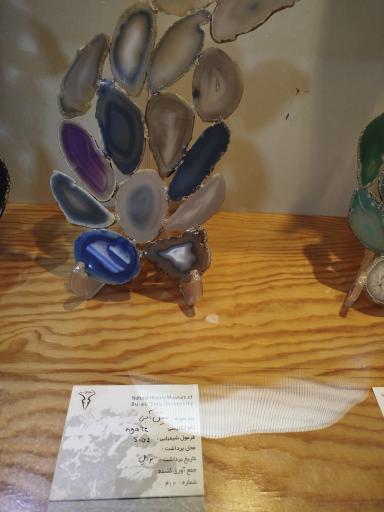 عکس موزه تاریخ طبیعی همدان