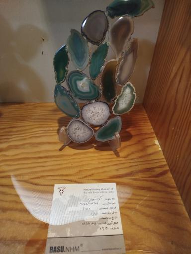 عکس موزه تاریخ طبیعی همدان