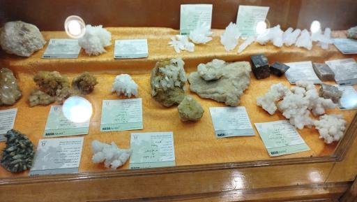 عکس موزه تاریخ طبیعی همدان