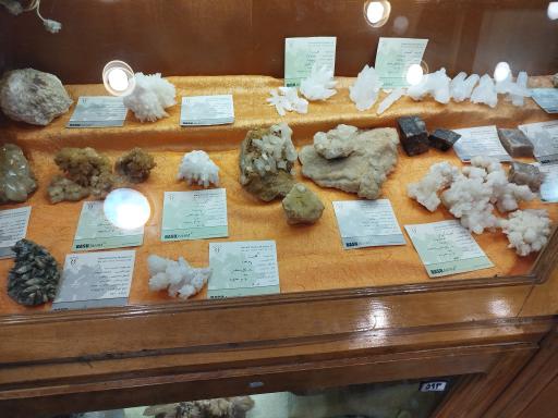 عکس موزه تاریخ طبیعی همدان