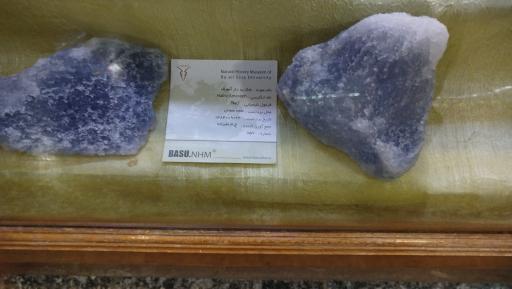 عکس موزه تاریخ طبیعی همدان