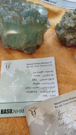 عکس موزه تاریخ طبیعی همدان