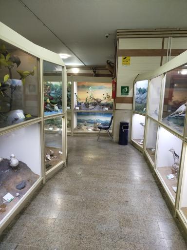 عکس موزه تاریخ طبیعی همدان