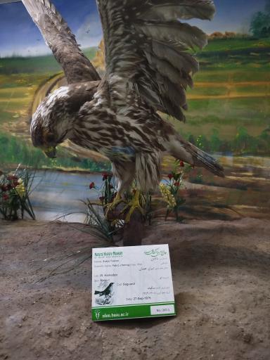 عکس موزه تاریخ طبیعی همدان