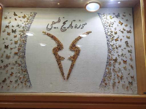 عکس موزه تاریخ طبیعی همدان