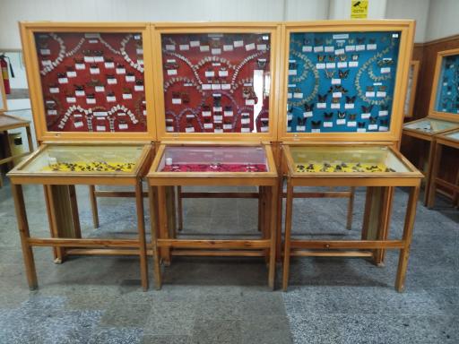 عکس موزه تاریخ طبیعی همدان