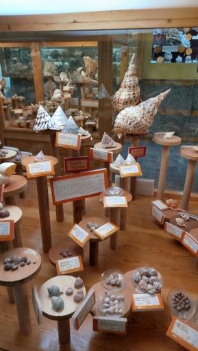 عکس موزه تاریخ طبیعی همدان