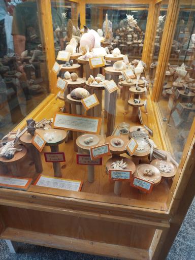 عکس موزه تاریخ طبیعی همدان