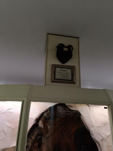 موزه تاریخ طبیعی همدان