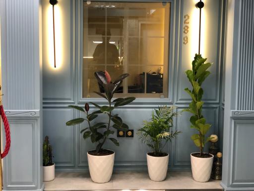 کلوپ زیبایی نیما میر( داماد ورژن)