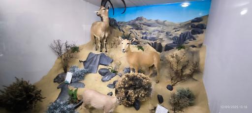 عکس موزه تاریخ طبیعی همدان