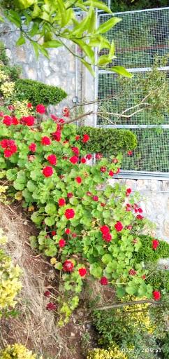 عکس مجتمع مسکونی امیران