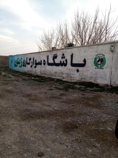 عکس باشگاه سوارکاری زیتون